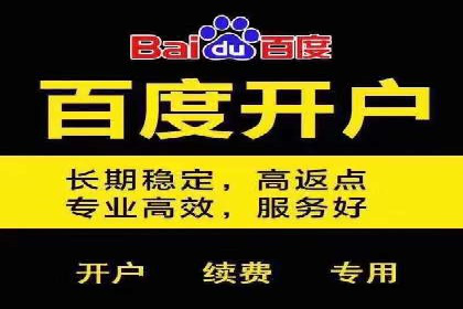 竞价排名中的数据分析和优化案例